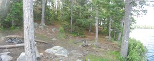 Campsite #313