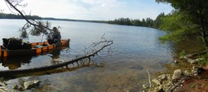 Campsite #318