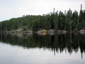 2012-08-23_250_Woodland_Caribou_South_Aegean_Lake.JPG