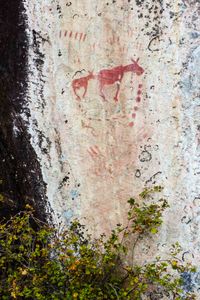 pictograph, darky lake