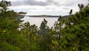view of argo lake from atop rock outcropping