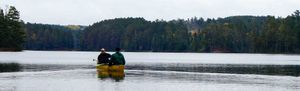 brent lake, misty morning