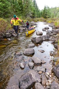 lining thru creek between isabella and north bay