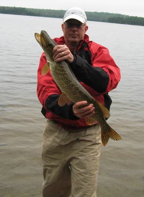 northern caught and released on Quetico Lake