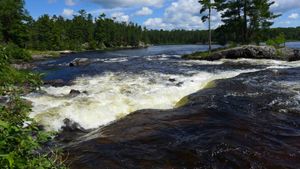 basswood falls drop