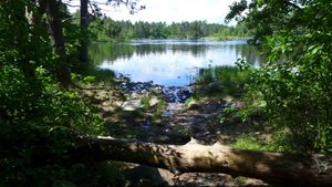 basswood portage - one of the spur trails