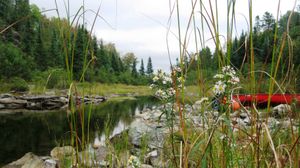 McAlpine Creek going into Kasakokwog