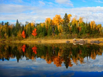 Fall colors