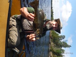 Kawishiwi River smallmouth