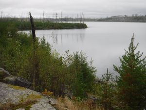 view from site