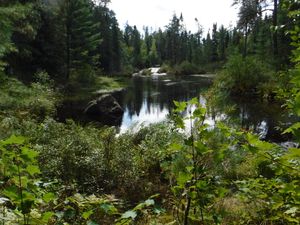 Falls and pool between Stuart Lake and Dahlgren River