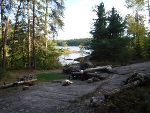 View from the fire area