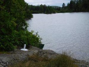 DSCN4702.jpg