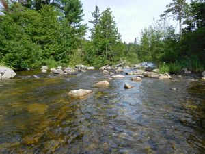 DSCN4708.jpg