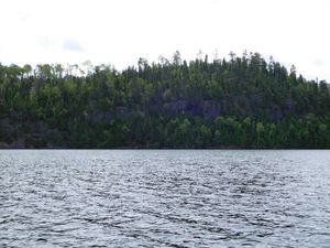 DSCN4711.jpg