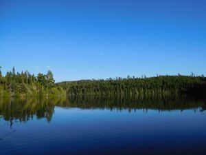 DSCN4727.jpg