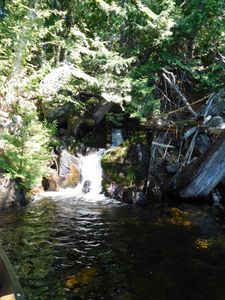 DSCN4732.jpg