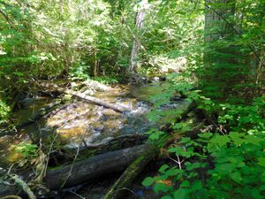DSCN4739.jpg