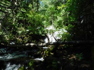 DSCN4740.jpg
