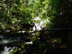 DSCN4741.jpg