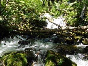 DSCN4742.jpg