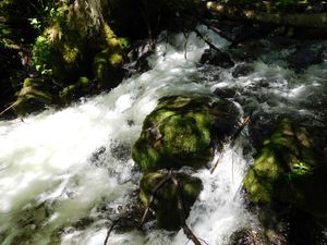 DSCN4743.jpg