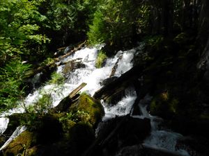 DSCN4747.jpg