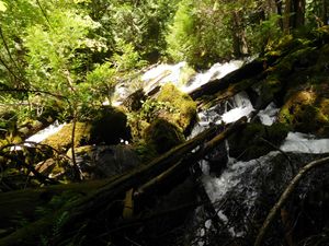 DSCN4748.jpg