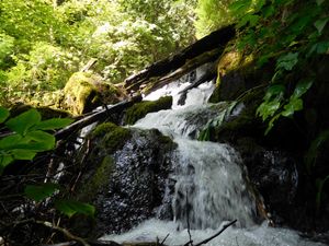 DSCN4749.jpg