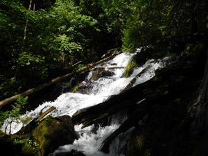 DSCN4750.jpg