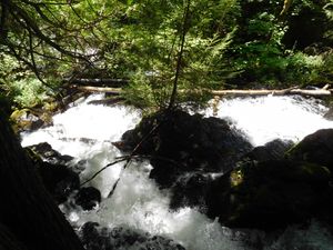 DSCN4751.jpg