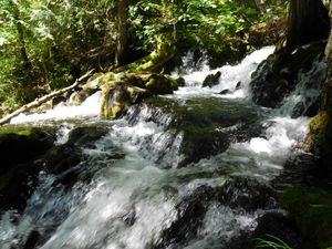 DSCN4752.jpg
