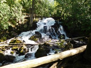 DSCN4753.jpg