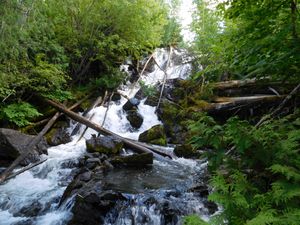 DSCN4760.jpg