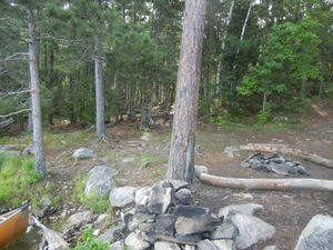Campsite #313