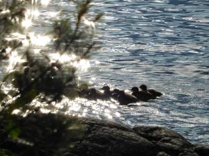 DSCN4771.jpg