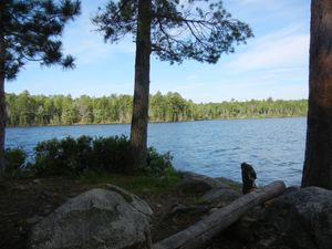 Campsite #313