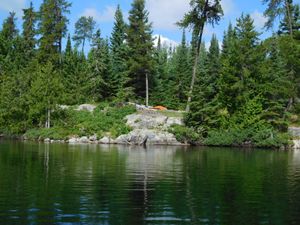 DSCN4782.jpg