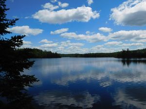 DSCN4787.jpg