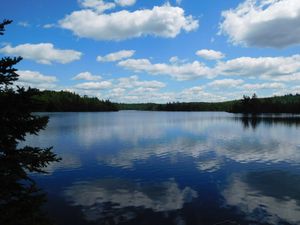 DSCN4788.jpg