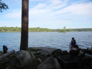 Campsite #313