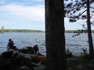 Campsite #313