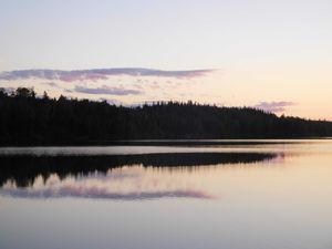 DSCN4809.jpg