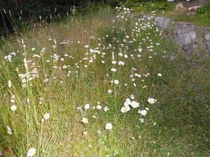 DSCN4810.jpg