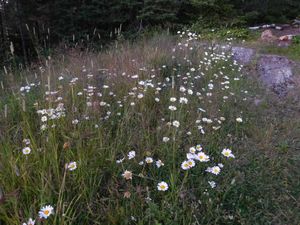DSCN4811.jpg