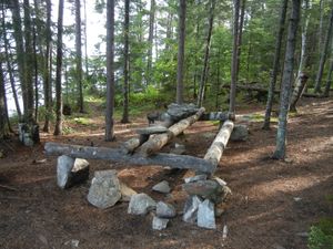 Campsite #313