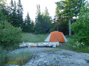 DSCN4815.jpg
