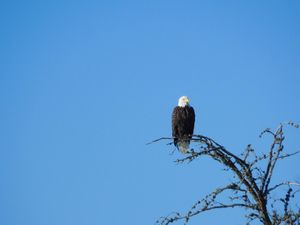 DSCN4816.jpg