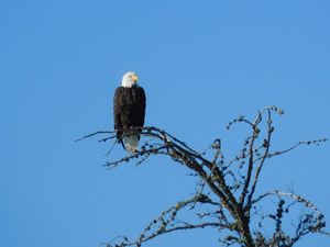 DSCN4817.jpg