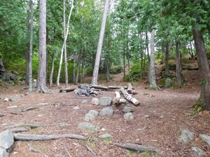DSCN4695.jpg